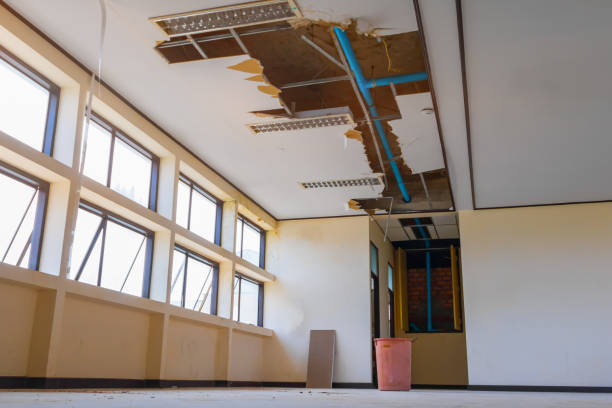 Best Water damage restoration near me  in Llano, TX