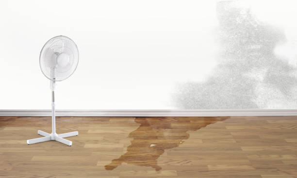 Best Flood damage cleanup  in Llano, TX